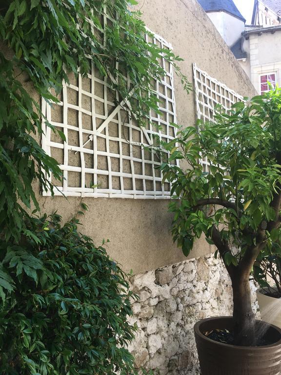בלואה Maison Josephine Avec Garage Prive מראה חיצוני תמונה